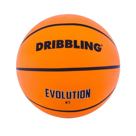 Pelota Basket Evolution