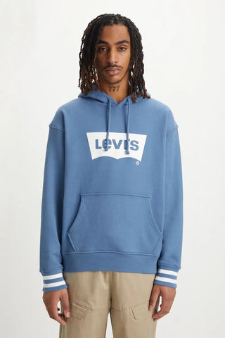 Buzo Levis Relaxed Graphic PO Hoodie